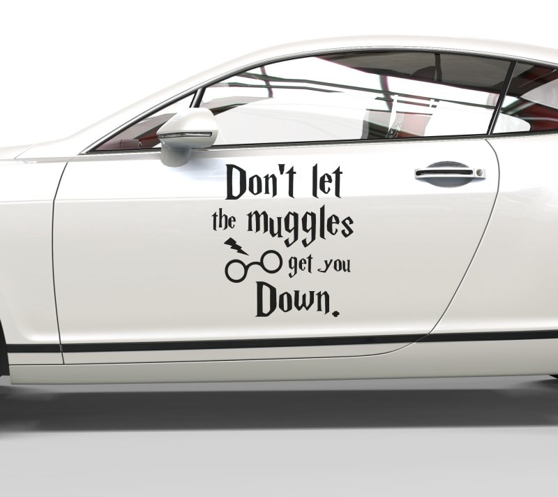 46009 Harry P. Don't let the Muggles get you down Aufkleber